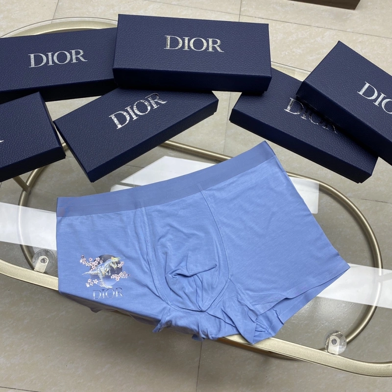 Christian Dior Underwear UrbanStyle 276445