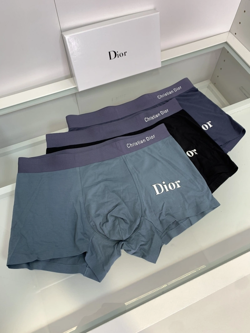 Soft Christian Dior Underwear 276433