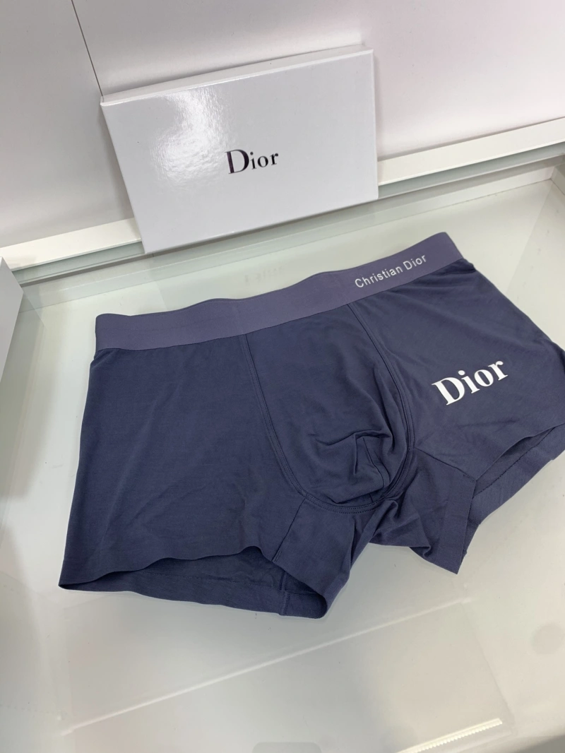 Soft Christian Dior Underwear 276433
