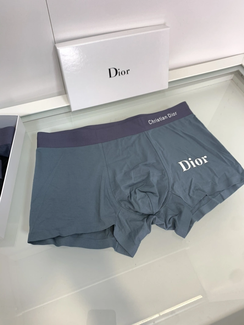 Soft Christian Dior Underwear 276433