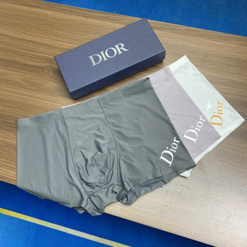 NewStyle Christian Dior Underwear 276426