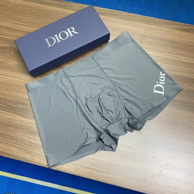 NewStyle Christian Dior Underwear 276426