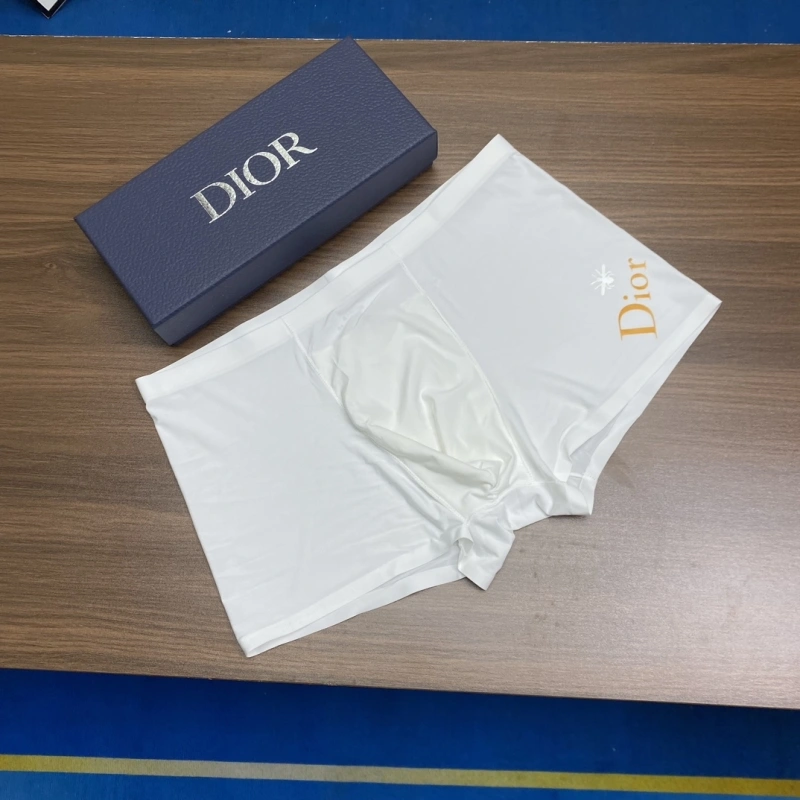 NewStyle Christian Dior Underwear 276426
