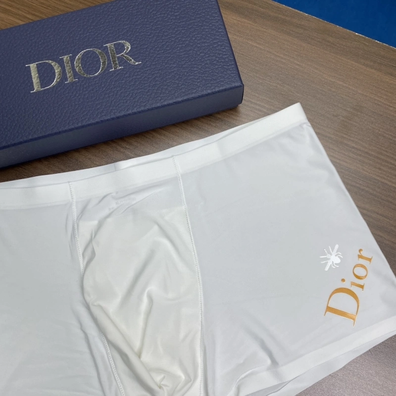NewStyle Christian Dior Underwear 276426
