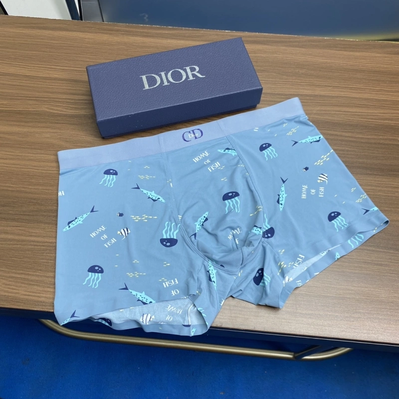 Christian Dior Underwear ZeroBulk 276424