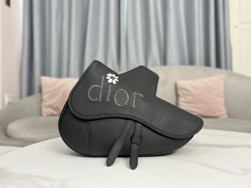 Vibrant Christian Dior Waist Chest Packs 76155
