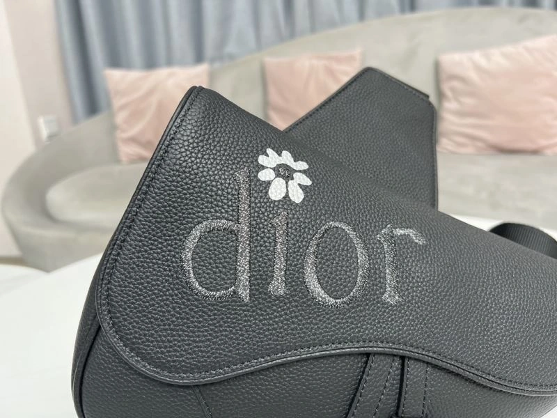 Vibrant Christian Dior Waist Chest Packs 76155