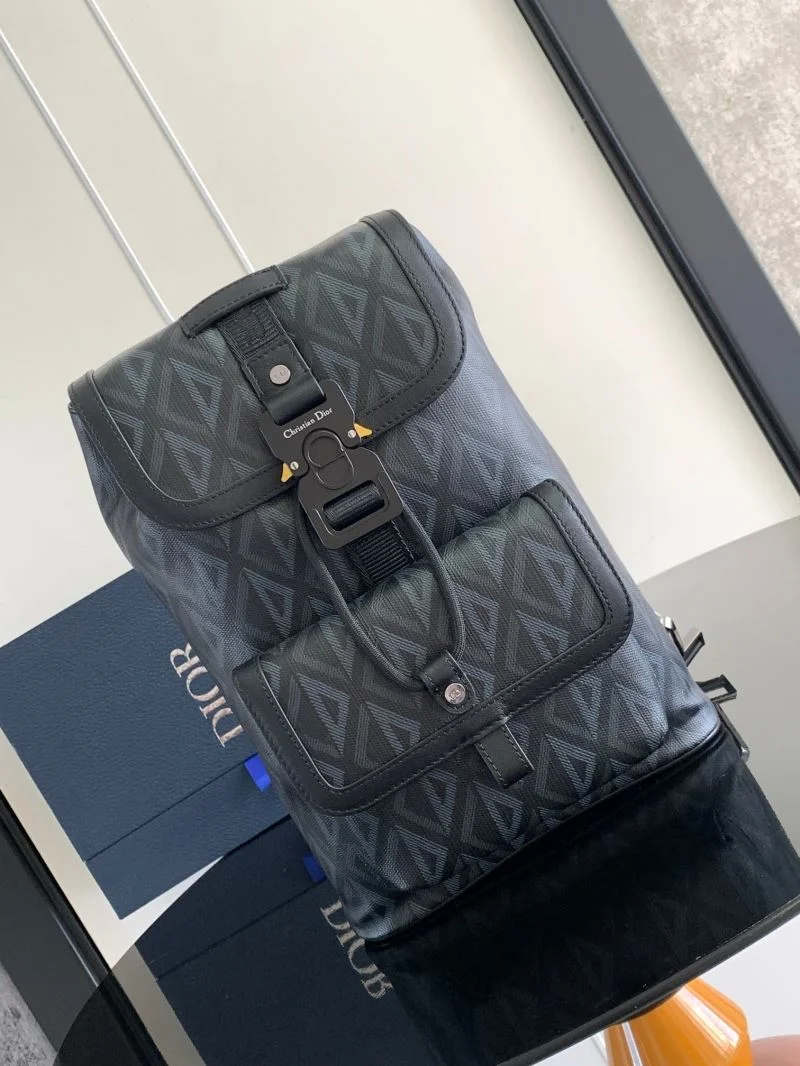Christian Dior Waist Chest Packs Attractive 46738