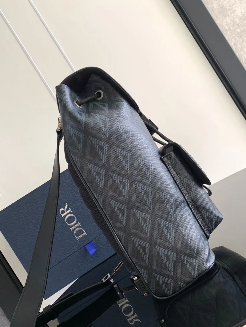 Christian Dior Waist Chest Packs Attractive 46738