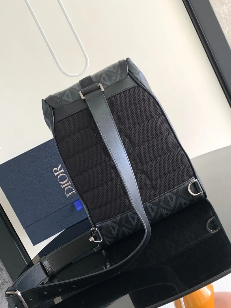 Christian Dior Waist Chest Packs Attractive 46738