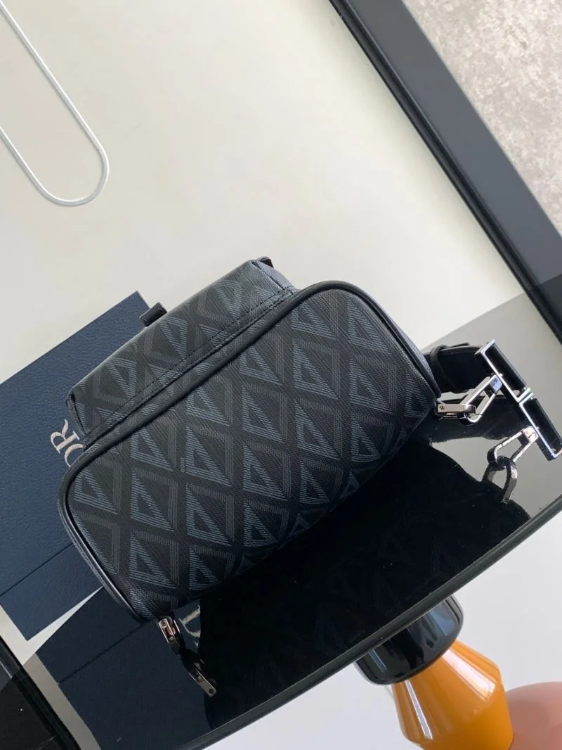 Christian Dior Waist Chest Packs Attractive 46738