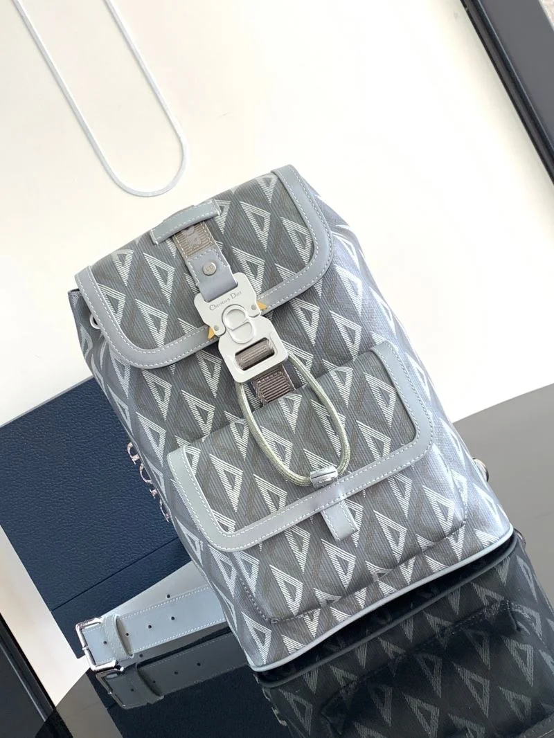 Christian Dior Waist Chest Packs WellDesigned 46741