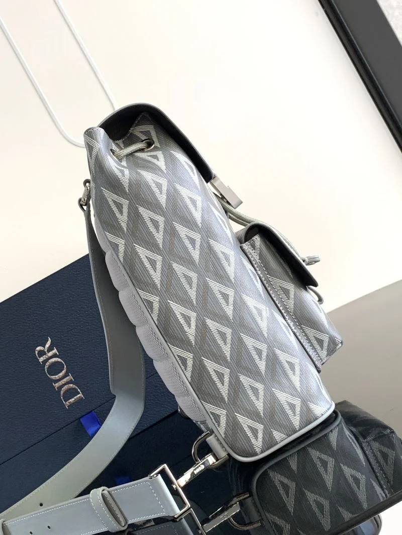 Christian Dior Waist Chest Packs WellDesigned 46741