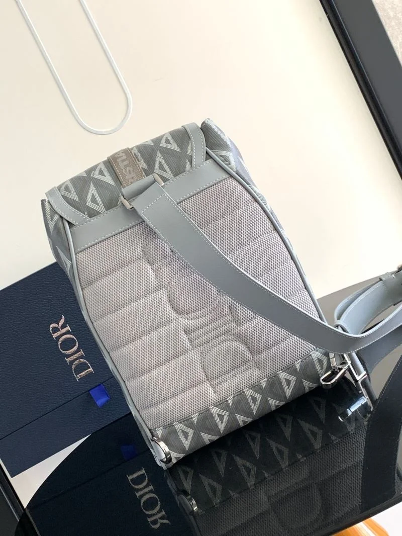 Christian Dior Waist Chest Packs WellDesigned 46741