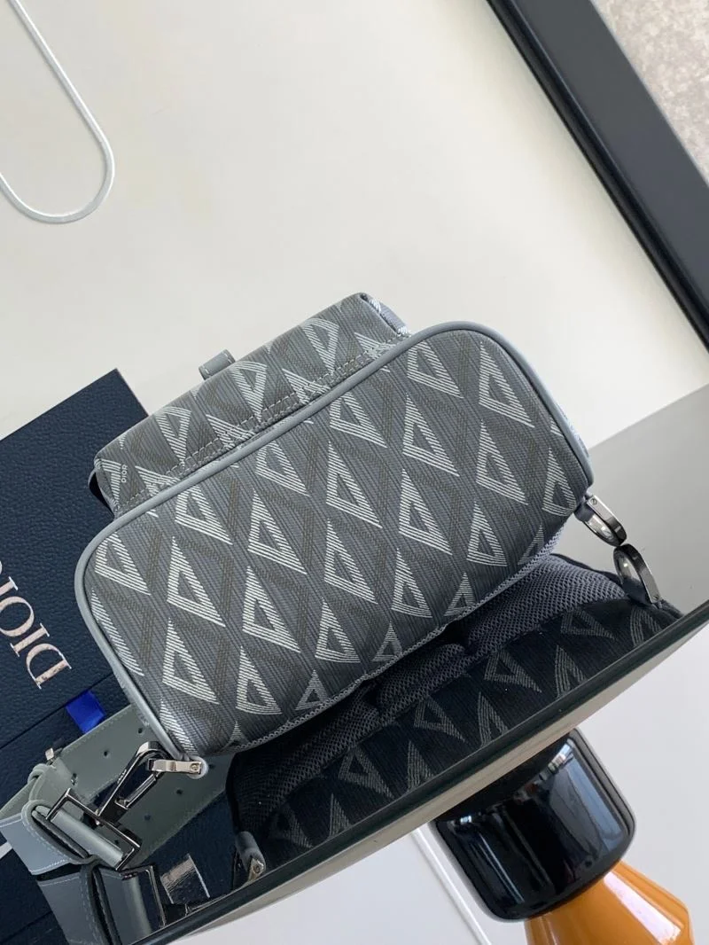 Christian Dior Waist Chest Packs WellDesigned 46741