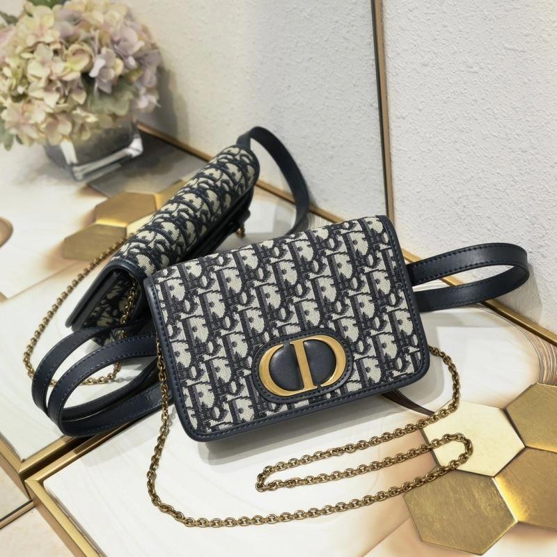 Christian Dior Waist Chest Packs Modern 85425