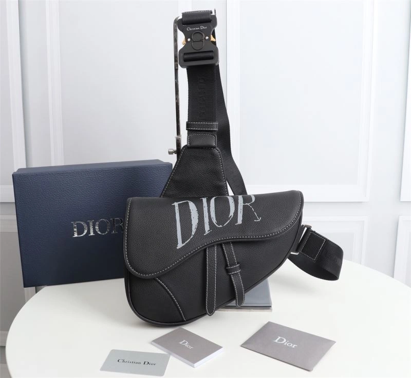 Bold Christian Dior Waist Chest Packs 77026
