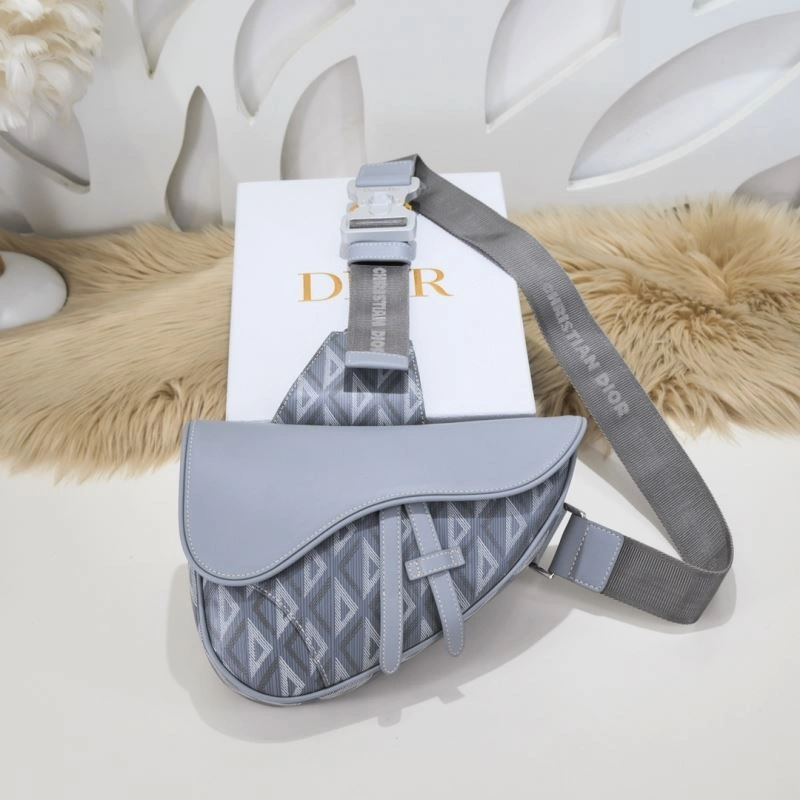 Classic Christian Dior Waist Chest Packs 77052