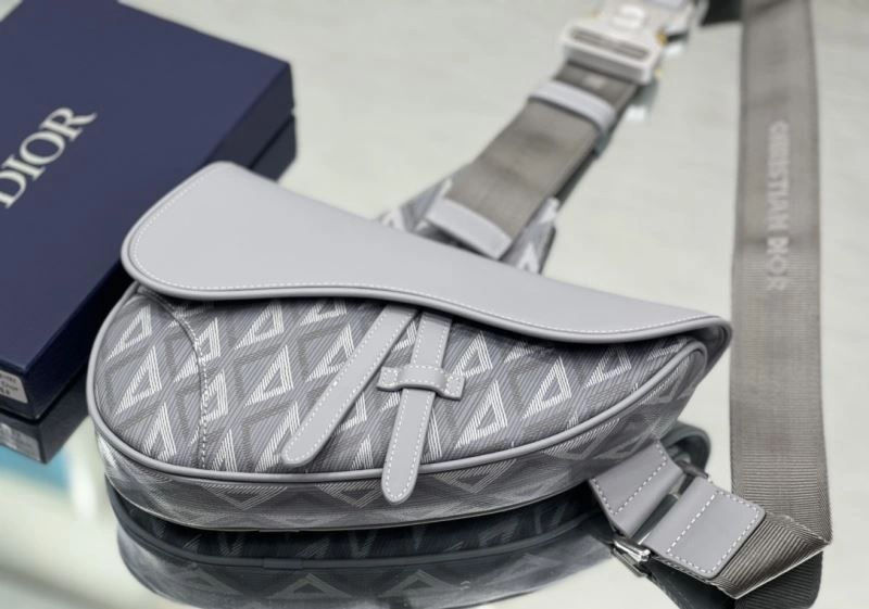 Christian Dior Waist Chest Packs Popular 76880