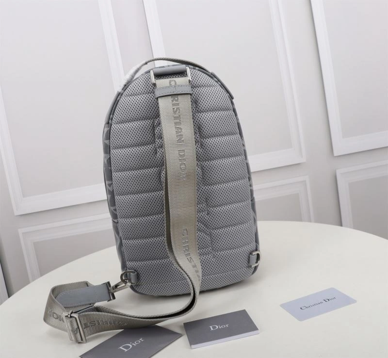 Vibrant Christian Dior Waist Chest Packs 74246