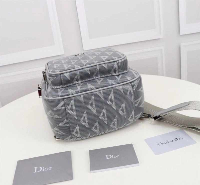 Vibrant Christian Dior Waist Chest Packs 74246