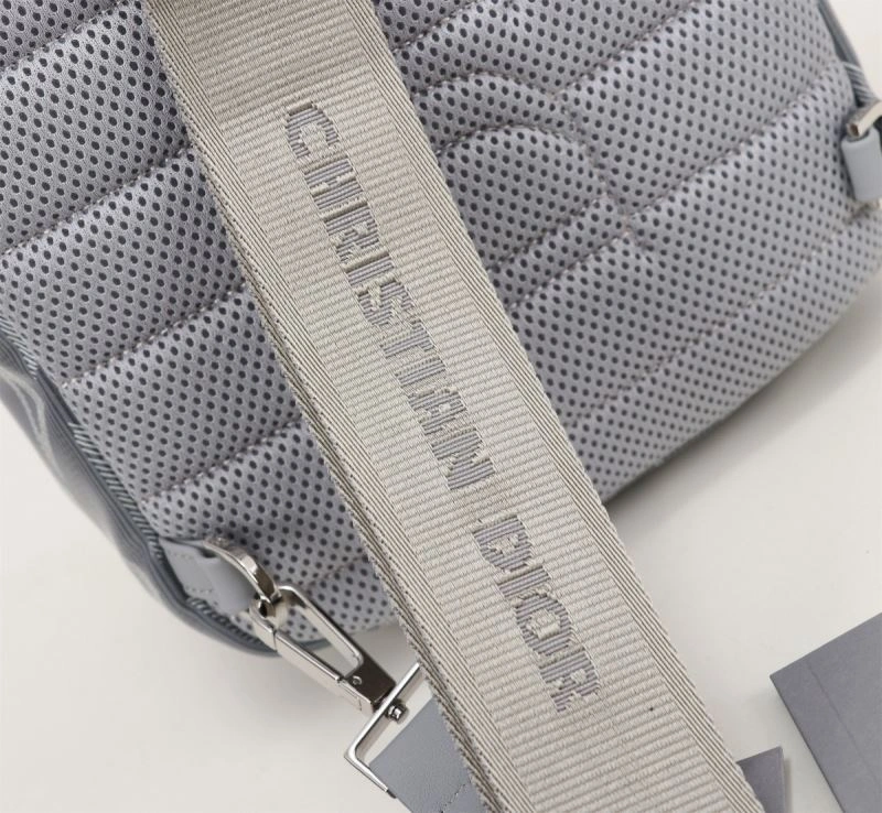 Vibrant Christian Dior Waist Chest Packs 74246