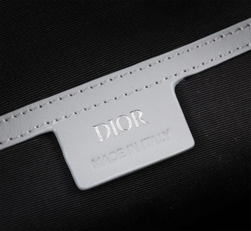 Vibrant Christian Dior Waist Chest Packs 74246