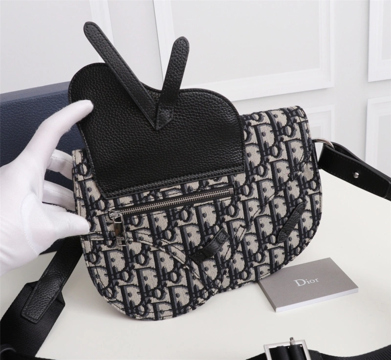 Trendsetting Christian Dior Waist Chest Packs 71347