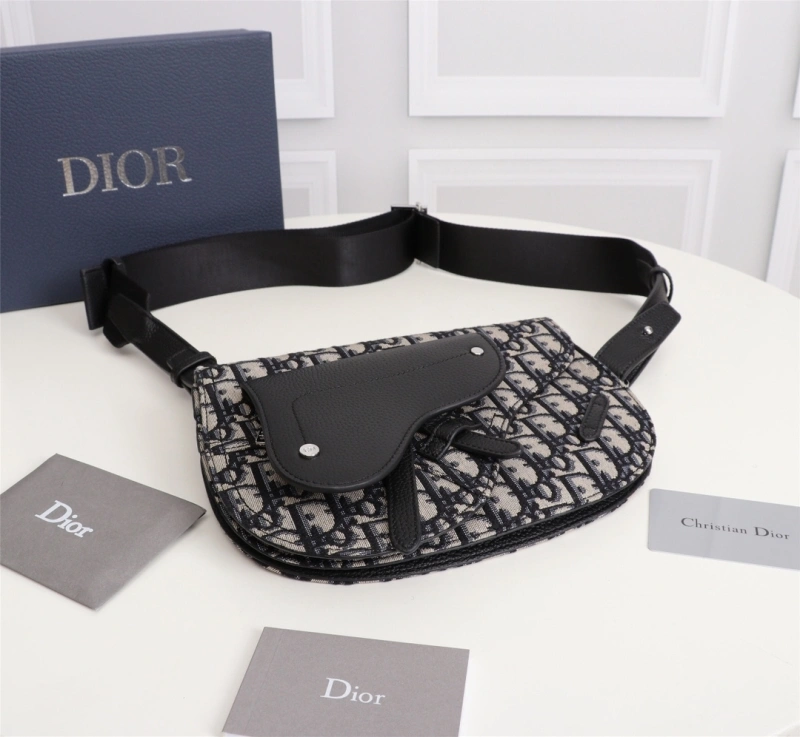 Trendsetting Christian Dior Waist Chest Packs 71347