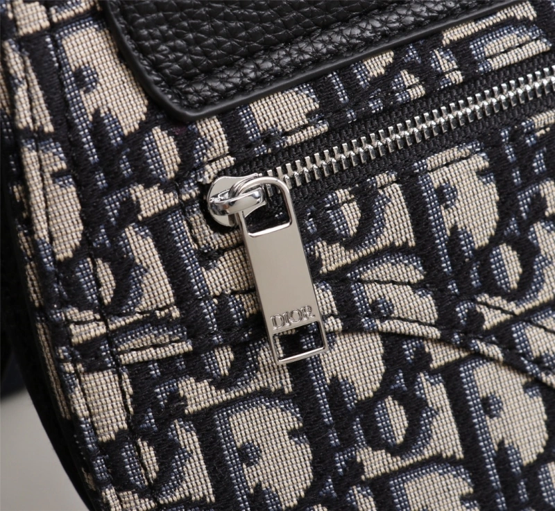 Trendsetting Christian Dior Waist Chest Packs 71347