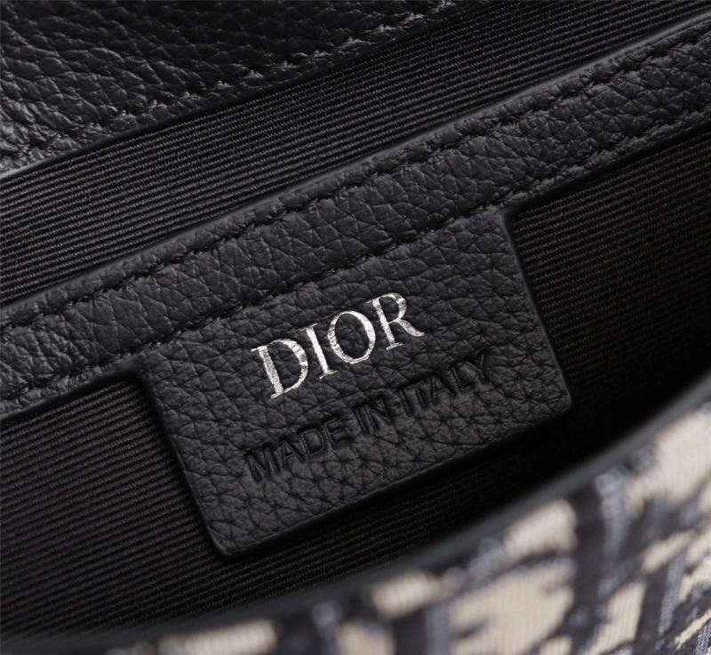Trendsetting Christian Dior Waist Chest Packs 71347