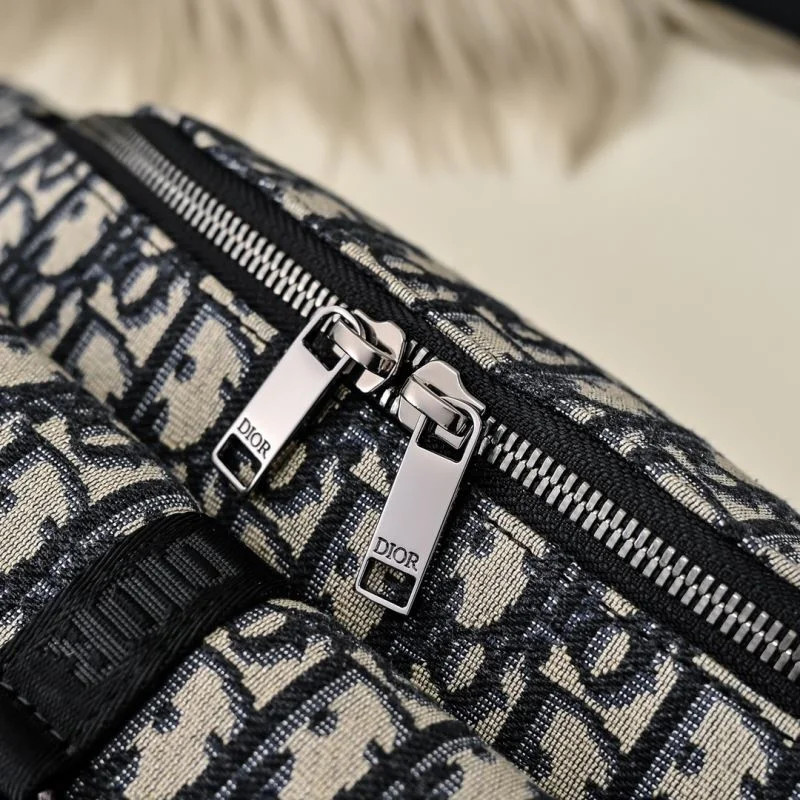 HighQuality Christian Dior Waist Chest Packs 46126