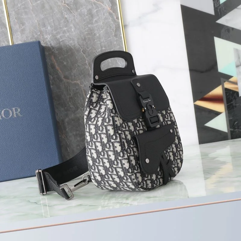 Stylish Christian Dior Waist Chest Packs 46114
