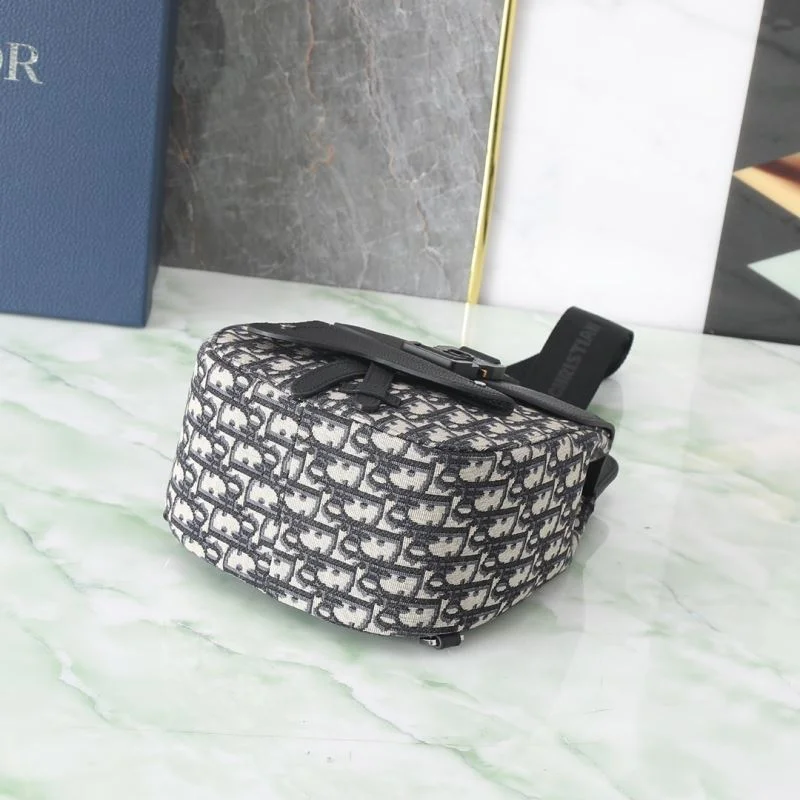 Stylish Christian Dior Waist Chest Packs 46114