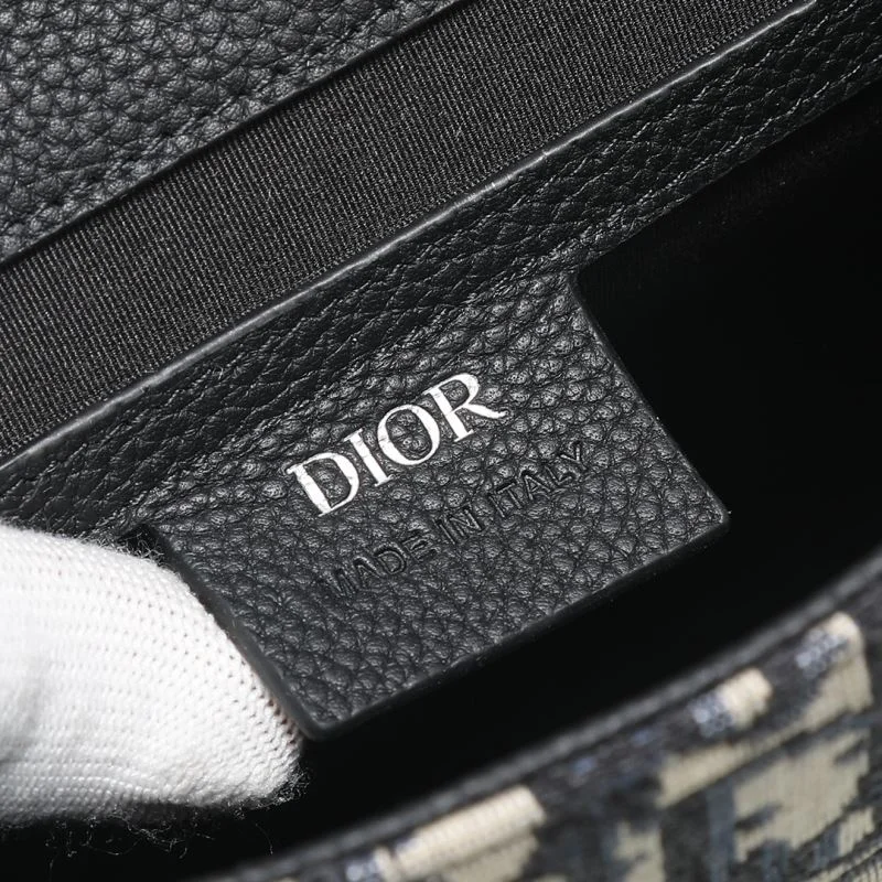 Stylish Christian Dior Waist Chest Packs 46114