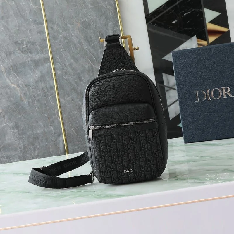 Seasonal Christian Dior Waist Chest Packs 46113