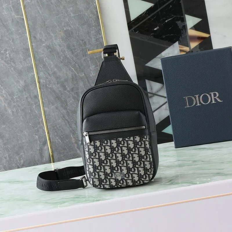 Trendy Christian Dior Waist Chest Packs 46148
