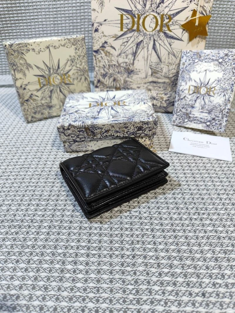 Christian Dior Wallet Resilient 70201