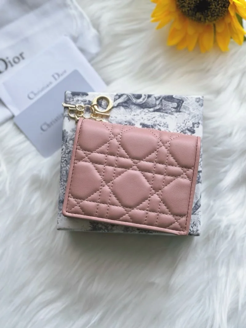 TechFriendly Christian Dior Wallets Purse 46666