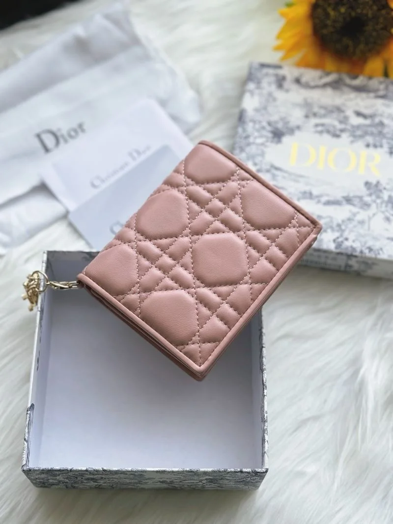 TechFriendly Christian Dior Wallets Purse 46666