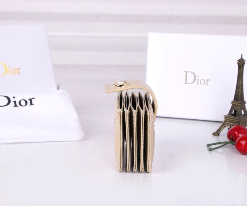 Christian Dior Wallets Purse SunProtective 88285