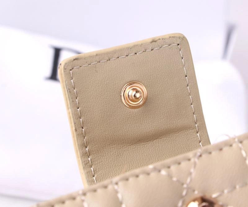 Christian Dior Wallets Purse SunProtective 88285