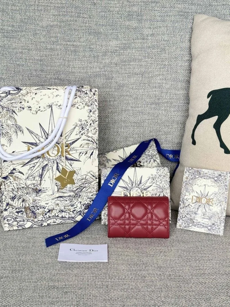 DailyWear Christian Dior Wallets Purse 45813