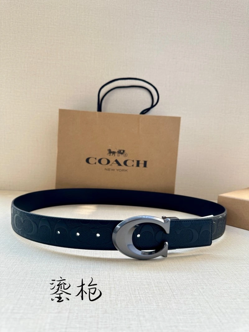 Modern Coach Belts 285377