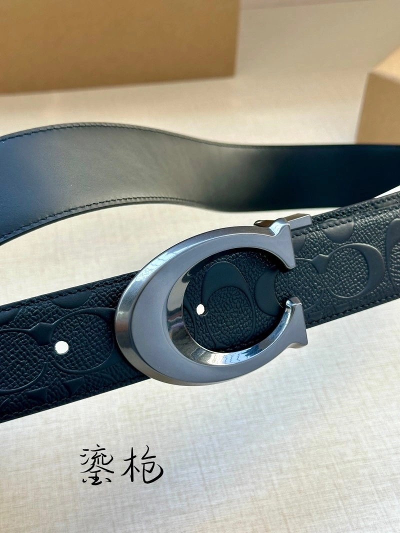 Modern Coach Belts 285377