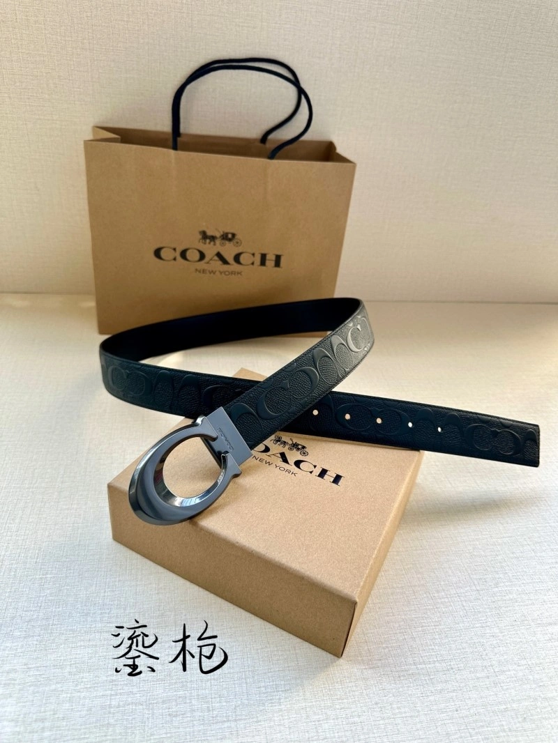 Modern Coach Belts 285377