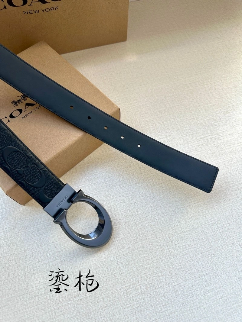 Modern Coach Belts 285377