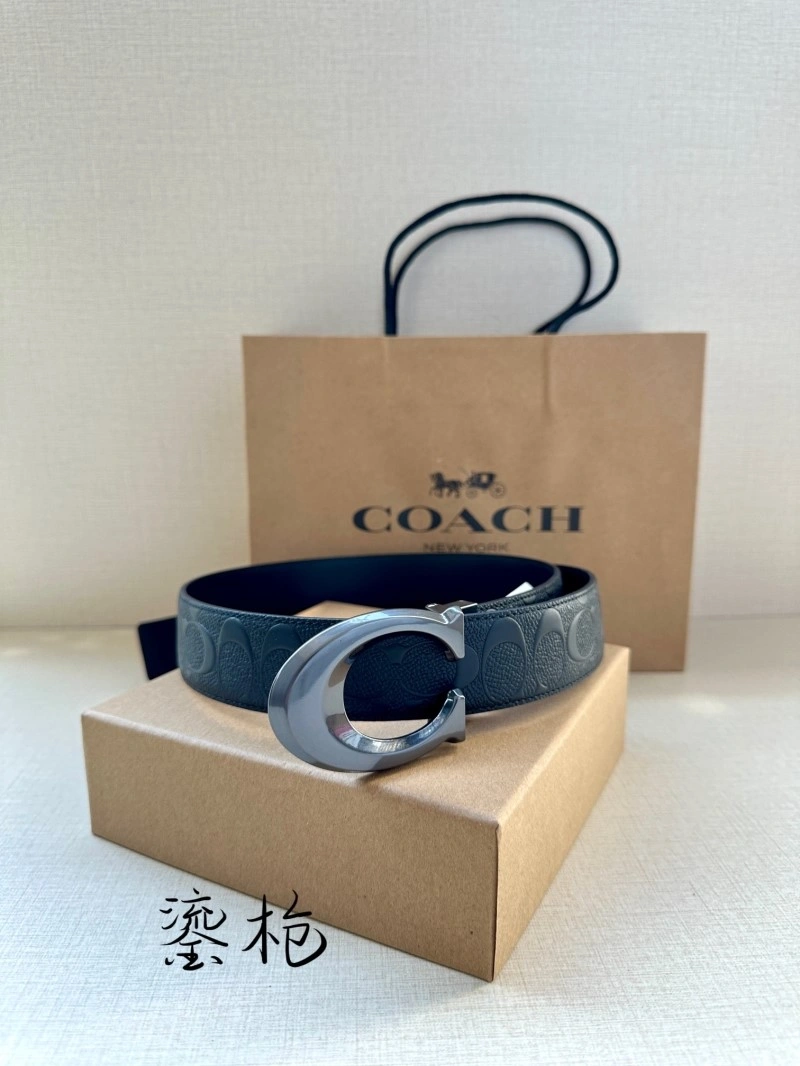 Modern Coach Belts 285377