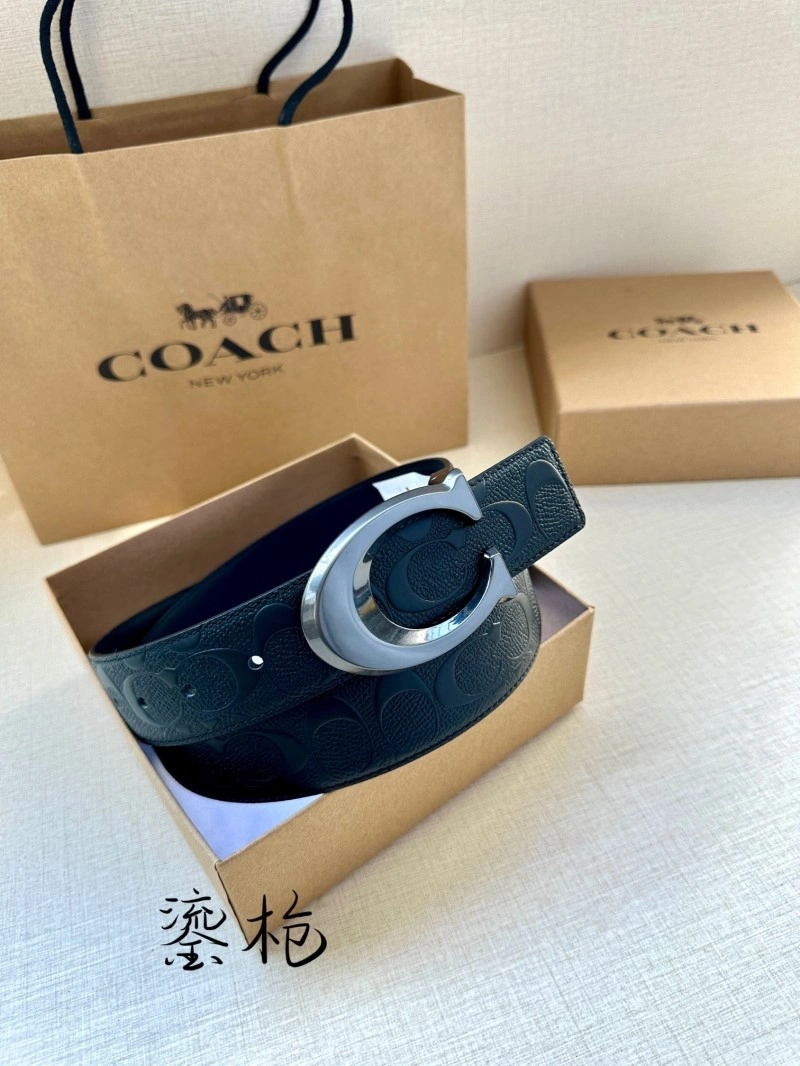 Modern Coach Belts 285377