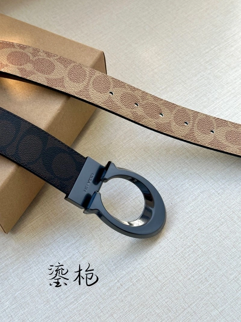 Bright Coach Belts 285379